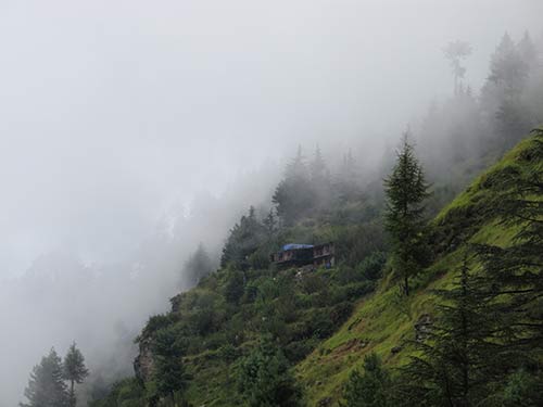 a house in the middle of a forest of the Himalayas